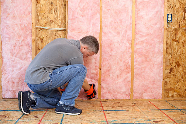 Best Insulation Maintenance and Repair in Rollingwood, TX